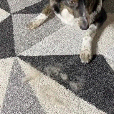 Blinkoblipo™ Magic Brush